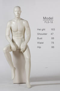 Male muscular mannequin